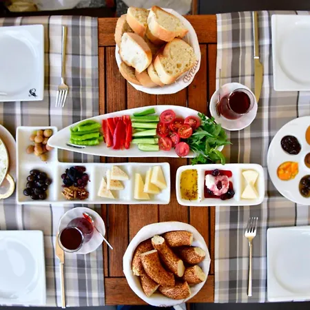 호텔 Siyah Lale Cunda 1841 (adults Only) Ayvalı