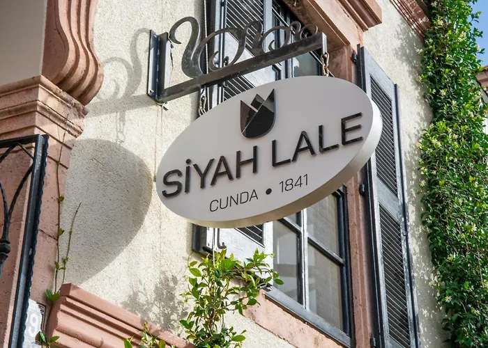Siyah Lale Cunda 1841 (adults Only) Hotel Ayvalı