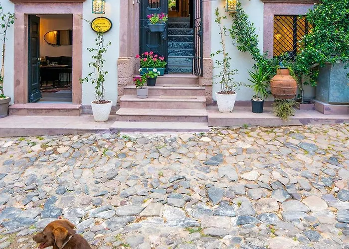 Siyah Lale Cunda 1841 (adults Only) Hotel