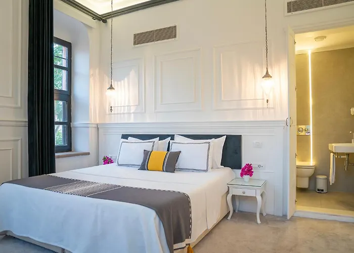 Hotel Siyah Lale Cunda 1841 (adults Only) 2*