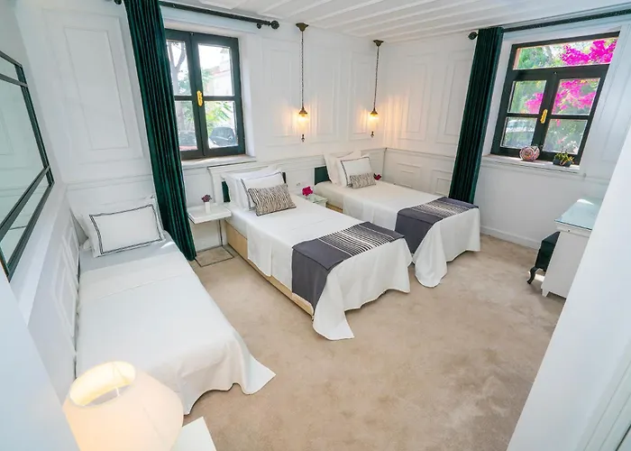 Siyah Lale Cunda 1841 (adults Only)