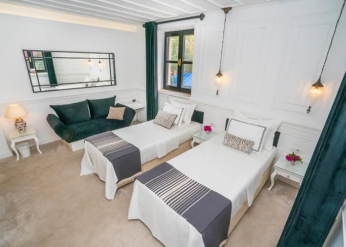 Hotel Siyah Lale Cunda 1841 (adults Only) 2*