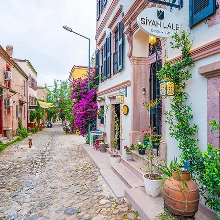 Siyah Lale 1841 (adults Only) فندق