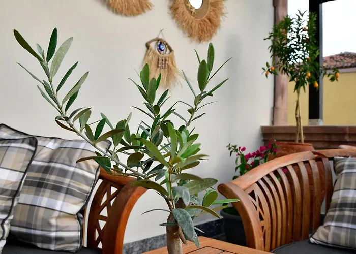 Siyah Lale Cunda 1841 (adults Only) 2*