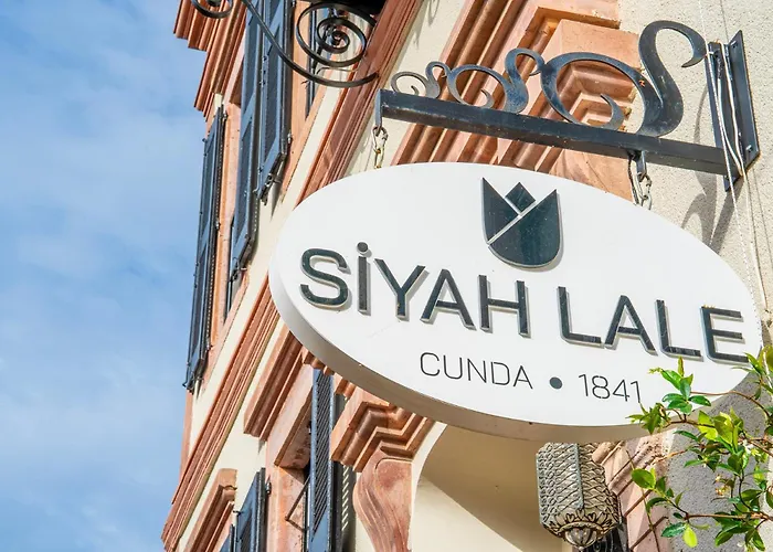 Siyah Lale Cunda 1841 (adults Only)