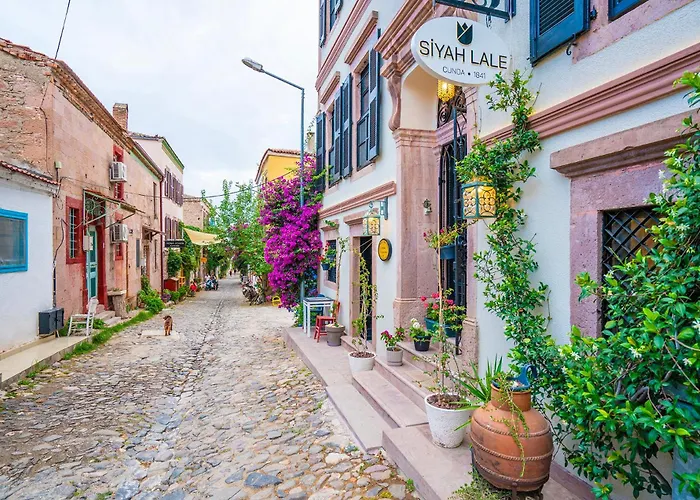 Siyah Lale Cunda 1841 (adults Only) Hotel