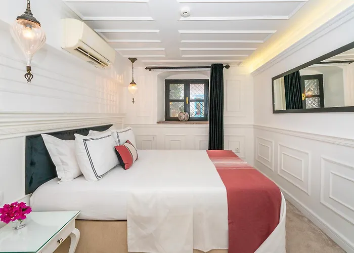 Hotel Siyah Lale Cunda 1841 (adults Only) 2*