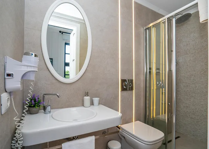 Hotel Siyah Lale Cunda 1841 (adults Only) 2*